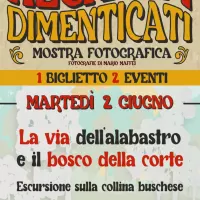 Via dell’alabastro e il bosco della corte
